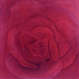 Magenta Rose ~ Digitally Enhanced
2005 ~ 50 x 50 inches 