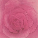 Pink Rose ~ Digitally Enhanced
2005 ~ 50 x 50 inches 