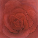 Red Rose ~ Digitally Enhanced
2005 ~ 50 x 50 inches 