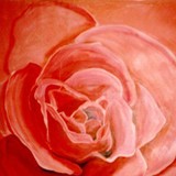 Rose
1979 ~ 50 x 50 inches 