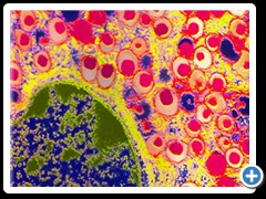 Digital Art On Canvas