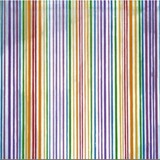 Psychedelic Bar Code
1999 ~ 50 x 50 inches 